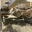 2005-terex-ta30-image-76