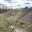 #2824-•-piles-of-material-(g)-image-12