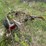 #2868-•-small-boat-trailer-(or)-image-4