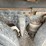 #1319-•-2011-freightliner-dump-truck-(has-mn-title)-image-24