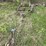 #2868-•-small-boat-trailer-(or)-image-10