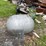 #2861-•-lp-tank-(or)-image-1