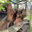 #2878-•-allis-chalmers-tractor-shovel-(or)-image-31