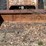 bobcat-843-image-14