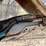 #1003-•-steel-master-crane-image-12