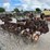john-deere-6000-image-3