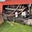 massey-ferguson-1105-image-5