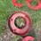 #2885-•-collection-of-plastic-letters-(or)-image-8