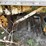 #2834-•-semi-trailer-(no-title,-for-parts)-(or)-image-7