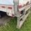 2003-great-dane-53-image-23