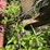 #2884-•-8'-box-blade-(or)-image-8