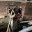 #2813-•-metal-saw-(g)-image-6