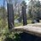 #2827-•-redi-haul-trailer-(has-wi-title)-(or)-image-10