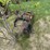 #2877-•-skid-steer-bucket-(or)-image-4