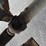 2004-ford-f650-image-56