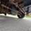 #24064-•-2007-ford-econoline-wagon-van-image-28