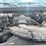 2005-ford-f150-image-27