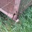 #2879-•-small-utility-trailer-(or)-image-10