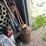 #2890-•-vintage-metal-fuel-can-(or)-image-2