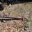 #2833-•-truck-box-on-running-gear-(or)-image-4
