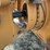 2007-case-335b-image-42