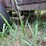 #2879-•-small-utility-trailer-(or)-image-14