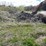 #2824-•-piles-of-material-(g)-image-4
