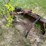 #2877-•-skid-steer-bucket-(or)-image-7