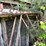 #2825-•-scaffolding-(or)-image-5