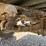 #341-•-army-trailer-w/-deer-blind-inv#-49085-image-8
