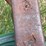 #2879-•-small-utility-trailer-(or)-image-9
