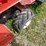 #2888-•-mdt-rear-tiller-(or)-image-8