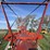 buhler-farm-king-16104-image-50