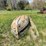 #2829-•-alumacraft-boat-(or)-image-1