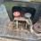#2881-•-1990-international-sealcoating-truck-(has-wi-title)-(or)-image-42