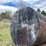 #2804-•-metal-fuel-tank-(g)-image-5