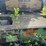 hyster-trailer-image-10