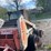 bobcat-843-image-6