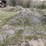 #2824-•-piles-of-material-(g)-image-3