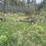 #2868-•-small-boat-trailer-(or)-image-2