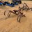 198---1-row-cultivator-image-4