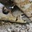 2017-caterpillar-336f-image-75