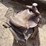 #2126-•-15"-saddle-image-4