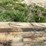#2115-•-(12)-bridge-boards-image-11