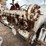 2011-caterpillar-3512-image-11