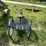 #2109-•-schwinn-meridian-trike-image-6