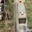 speedking-auger-image-12