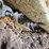 2017-caterpillar-336f-image-92