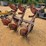 138---3-bottom-flip-plow-image-3