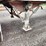 2002-trailmobile-trailer-image-7